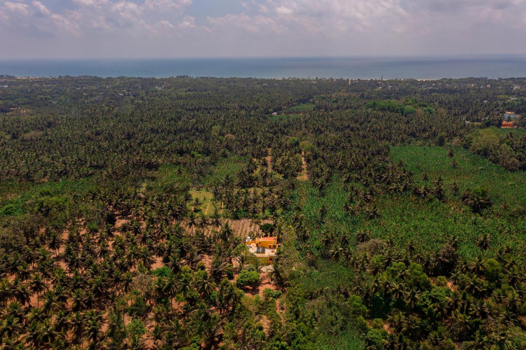 Teak Leaf Gateway Villa With Swimming Pool Indoor Games Kālapettai Екстериор снимка